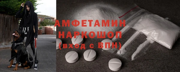 прущие грибы Абинск