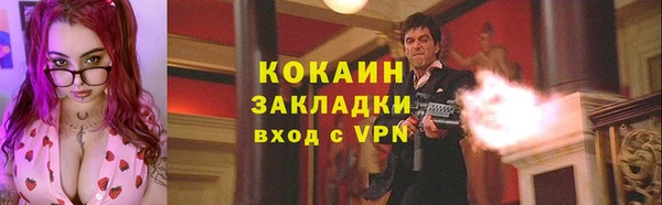 прущие грибы Абинск