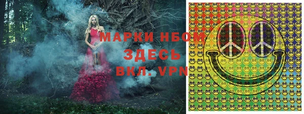 прущие грибы Абинск