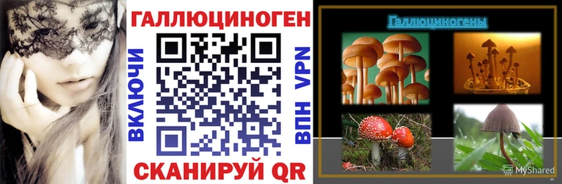 Псилоцибиновые грибы мухоморы  KRAKEN   Донской 