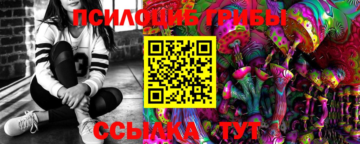 Галлюциногенные грибы Psilocybe  Вход с VPN  Донской 