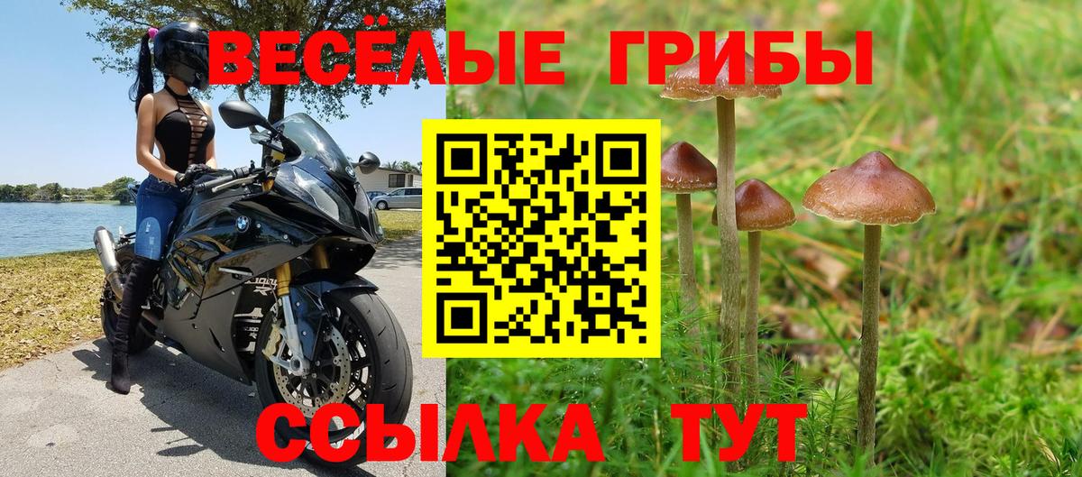 Псилоцибиновые грибы MAGIC MUSHROOMS Донской